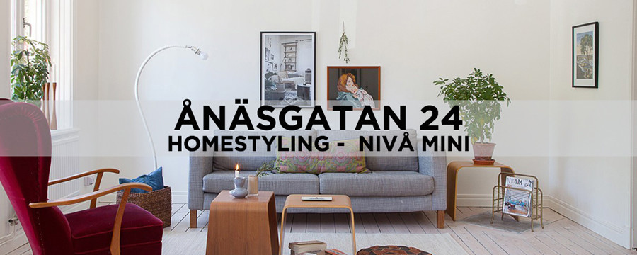 CASEBANNER - ÅNÄSVÄGEN 24