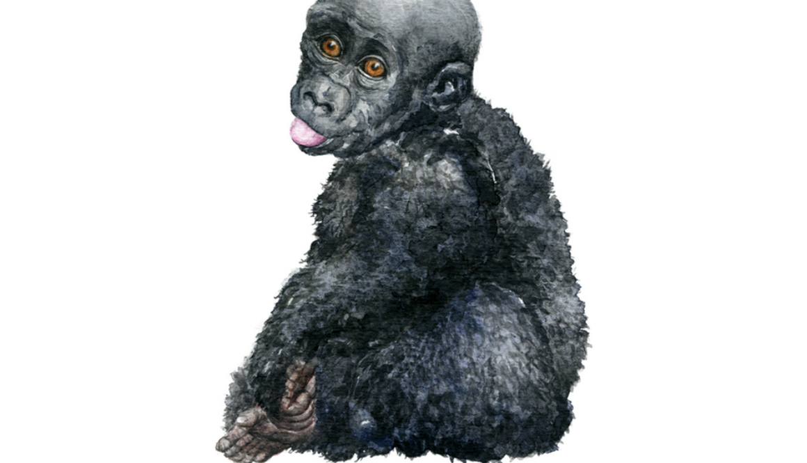 The_Mountain_Gorilla__Angelica_Sollander