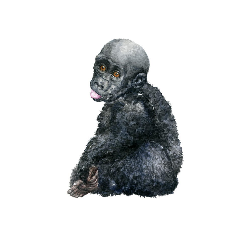 Julklappstips, The Mountain Gorilla, Angelica Sollander, Kids of Uganda The_Mountain_Gorilla__Angelica_Sollander