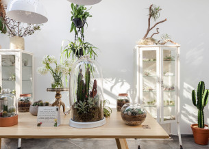 Flo-Atelie-Botanico-by-Epicentro_dezeen_1568_15 Flo-Atelie-Botanico-by-Epicentro_dezeen_1568_15